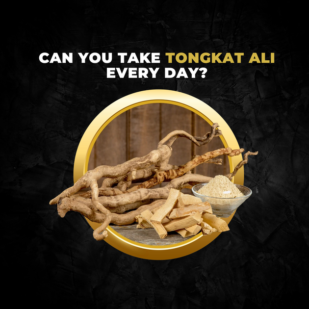 Best Time To Take Tongkat Ali The Ultimate Guide: Can You Take Tongkat Ali Every Day? – Earth Elixir