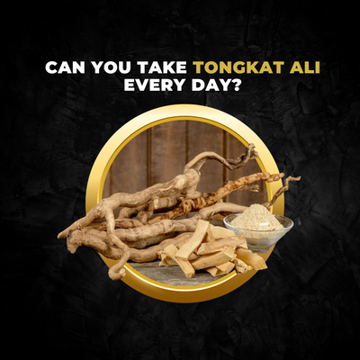 The Ultimate Guide: Can You Take Tongkat Ali Every Day?