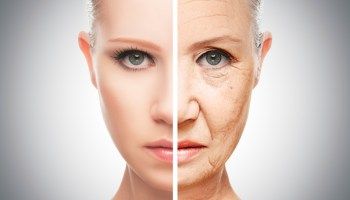 The Science Behind Spermidine and Aging