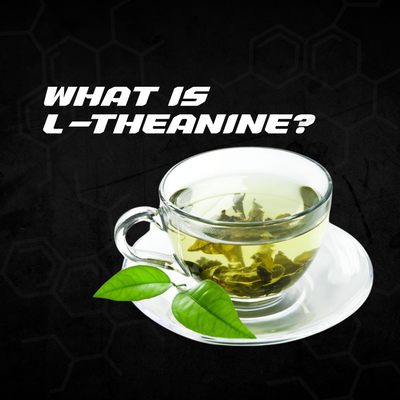 Unlocking the Benefits of L-Theanine: The Ultimate Guide