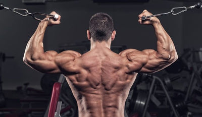 Turkesterone Benefits: Unlocking the Power of Natural Muscle Growth