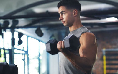 How Turkesterone Benefits Muscle Mass and Strength