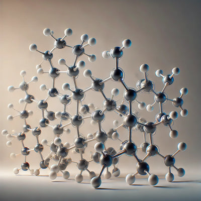 What is the Purpose of Spermidine?