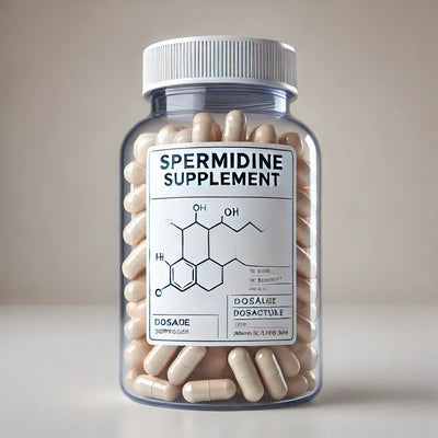 IS SPERMIDINE HARD ON THE LIVER?