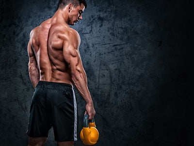 Exploring the Safety Profile of Ecdysterone: What You Need to Know