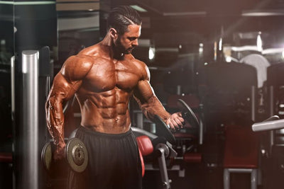 Demystifying Ecdysterone: Understanding Its Role as a Natural Steroid