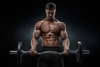 The Benefits of Combining Turkesterone and Ecdysterone in Your Supplement Regimen
