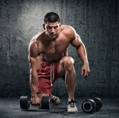 Unlocking the Benefits of Turkesterone and Ecdysterone for Muscle Growth